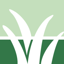 Yard Top Dressing Service Pros