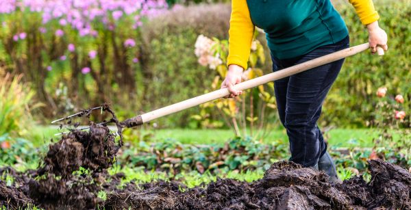 Soil Top Dressing
